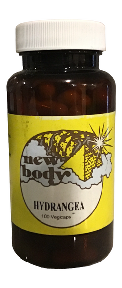 New Body Hydrangea