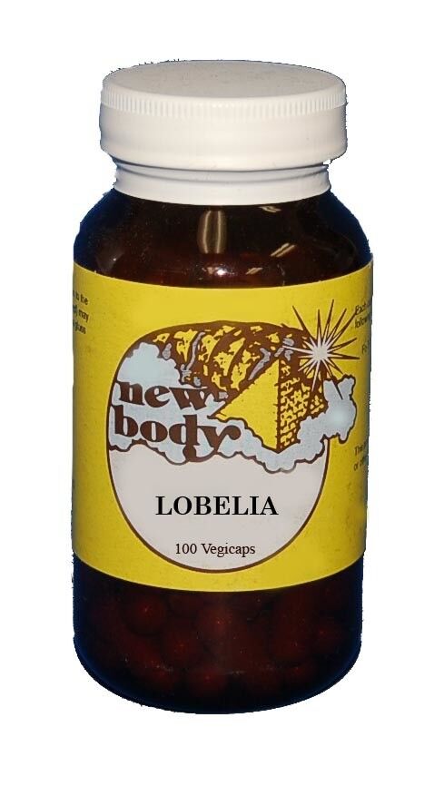 New Body LOBELIA